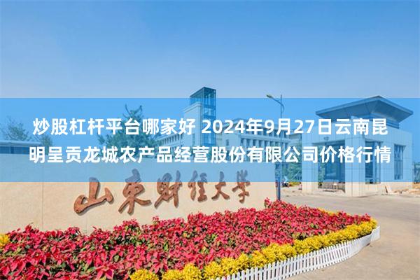 炒股杠杆平台哪家好 2024年9月27日云南昆明呈贡龙城农产品经营股份有限公司价格行情