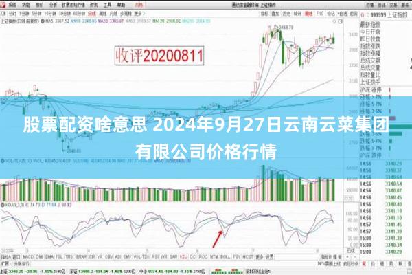 股票配资啥意思 2024年9月27日云南云菜集团有限公司价格行情