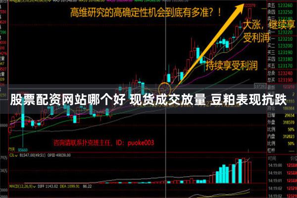 股票配资网站哪个好 现货成交放量 豆粕表现抗跌