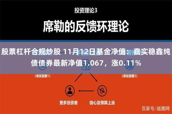 股票杠杆合规炒股 11月12日基金净值：嘉实稳鑫纯债债券最新净值1.067，涨0.11%