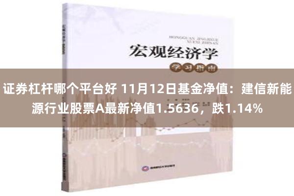 证券杠杆哪个平台好 11月12日基金净值：建信新能源行业股票A最新净值1.5636，跌1.14%