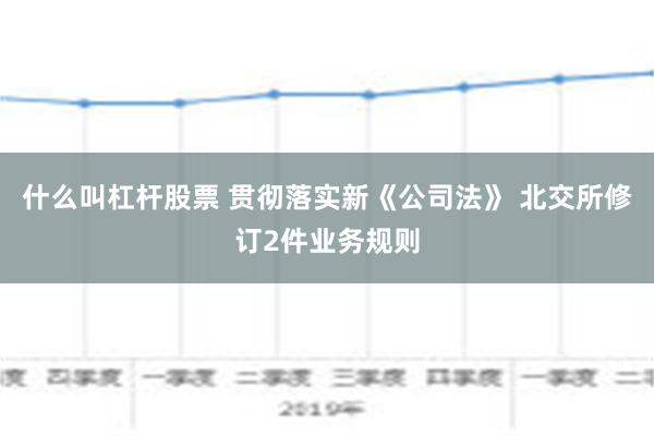 什么叫杠杆股票 贯彻落实新《公司法》 北交所修订2件业务规则