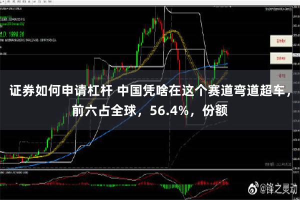 证券如何申请杠杆 中国凭啥在这个赛道弯道超车，前六占全球，56.4%，份额